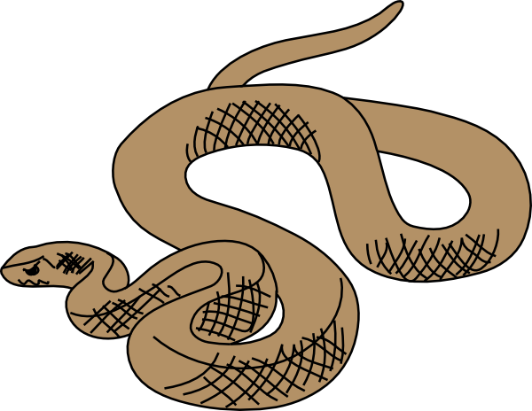 Rattlesnake Clipart Black And White - Free Clipart ...