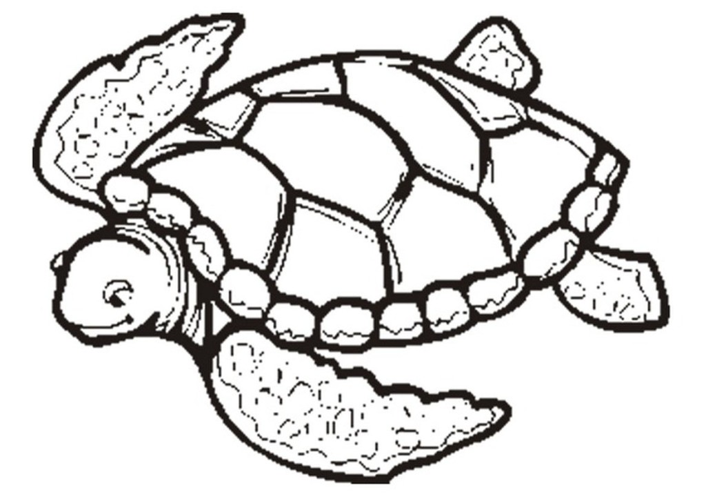 Fake Clipart | Free Download Clip Art | Free Clip Art | on Clipart ...