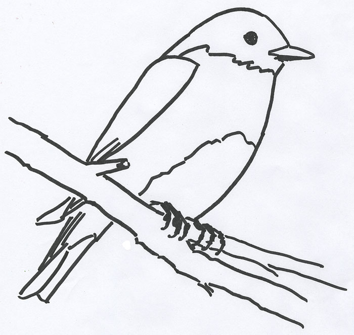Red and the Peanut: A free bird painting workshop along the Little ...