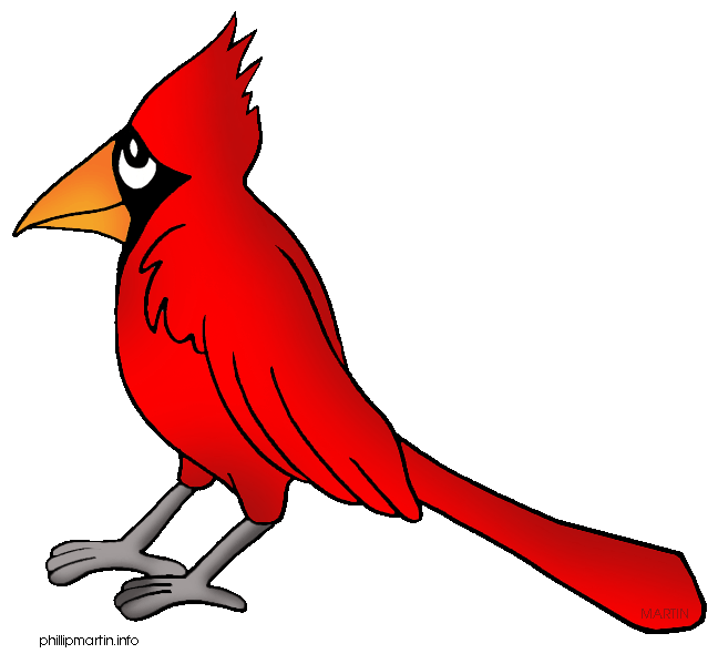 Cardinal Bird Clipart