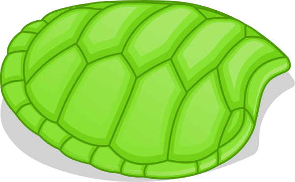 Turtle shell clipart