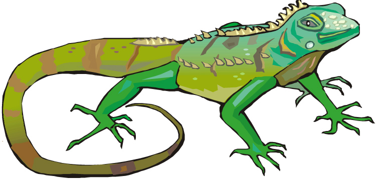 Best Iguana Clipart #14005 - Clipartion.com