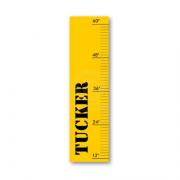 Kids Ruler
