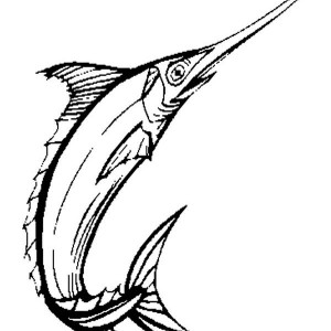 Swordfish Coloring Page for Kids | Color Luna