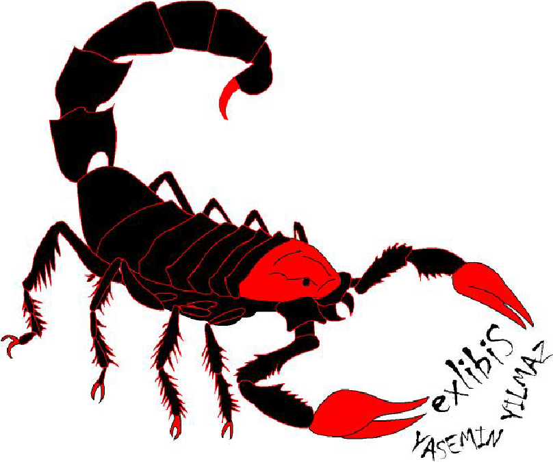 scorpion drawing
