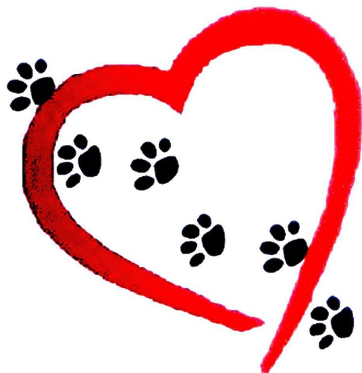 1000+ images about â?¿Paw Prints On My Heartâ?¿