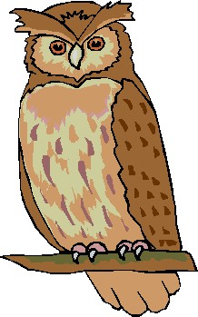 Clip art of owl