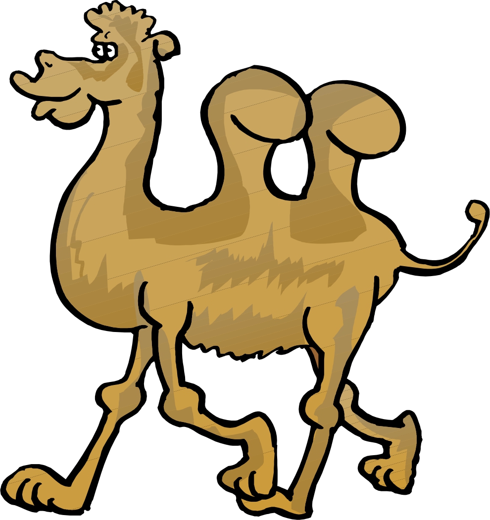 Cartoon Camel