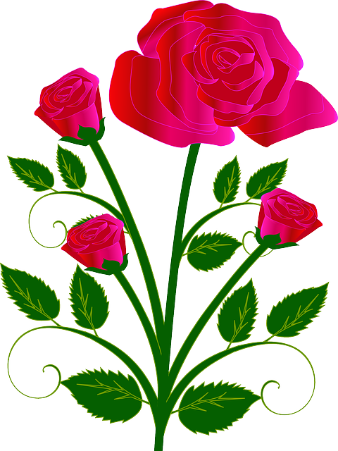 Free photo Png Bouquet Flowers Isolated Roses - Max Pixel