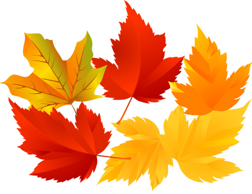 Fall Leaves Vector - ClipArt Best