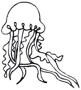Jelly Fish Outline Clipart