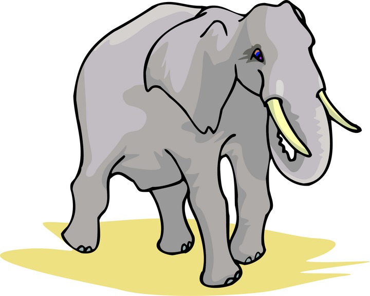 Elephant Ears Clipart
