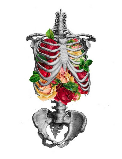 1000+ images about Mexican Day of the Dead | Original ...