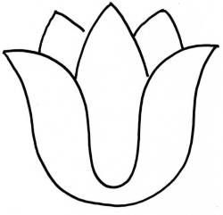 Tulip outline clipart