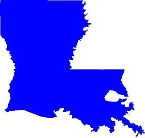 Coroplast Louisiana Shape Sign Choose Size &amp; Color Customize ...