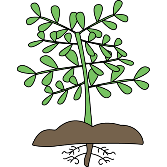 Plant nursery clipart