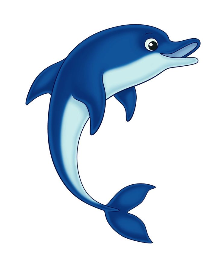 Dolphin Images Clip Art - Tumundografico
