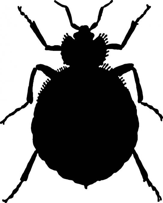 Black Bug Clip Art – Clipart Free Download