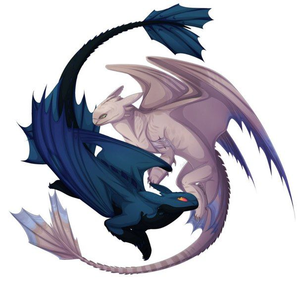 1000+ images about Dragon : Western