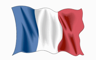 35 Great French Flag Animated Gifs - Best Animations