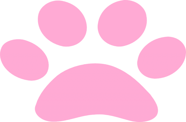 Tag For Rabbit paw - Litle Pups