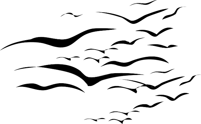 DRAWING, SKY, BIRDS, BIRD, FLYING, SHAPE, STORM, GROUP - Public ...