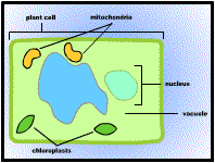 Plant and Soil Sciences eLibrary