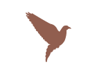 dove.png