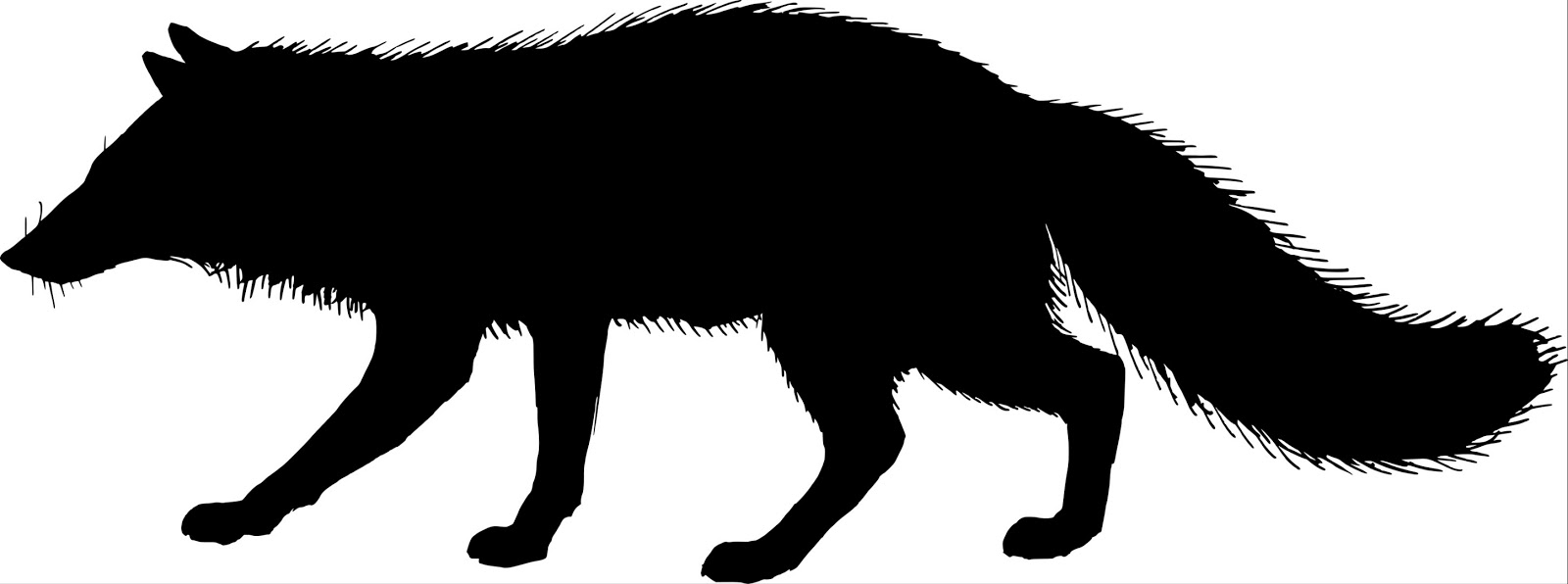 Fox Silhouette