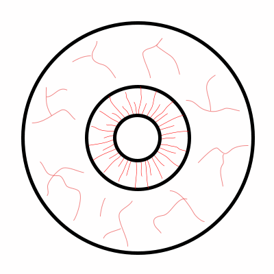 Drawing a cartoon eyeball