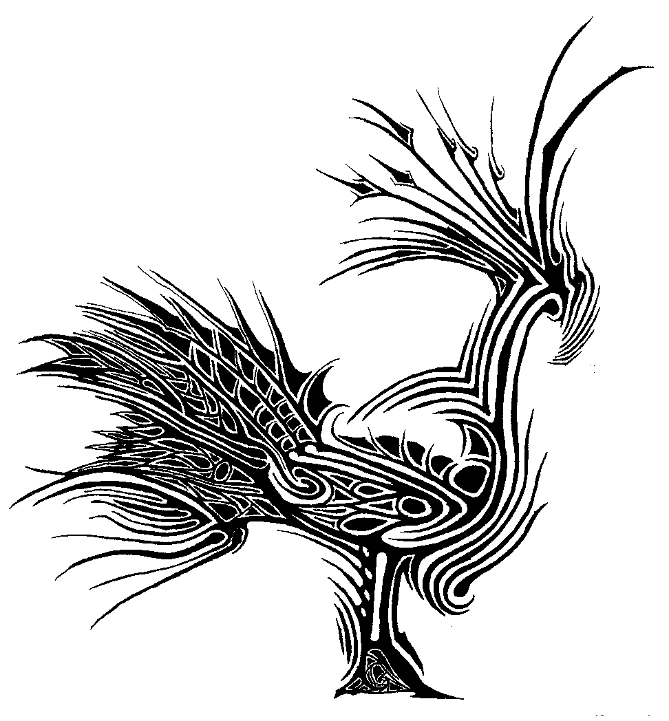 Images Koi Drawing Drawings Kootation Wallpaper