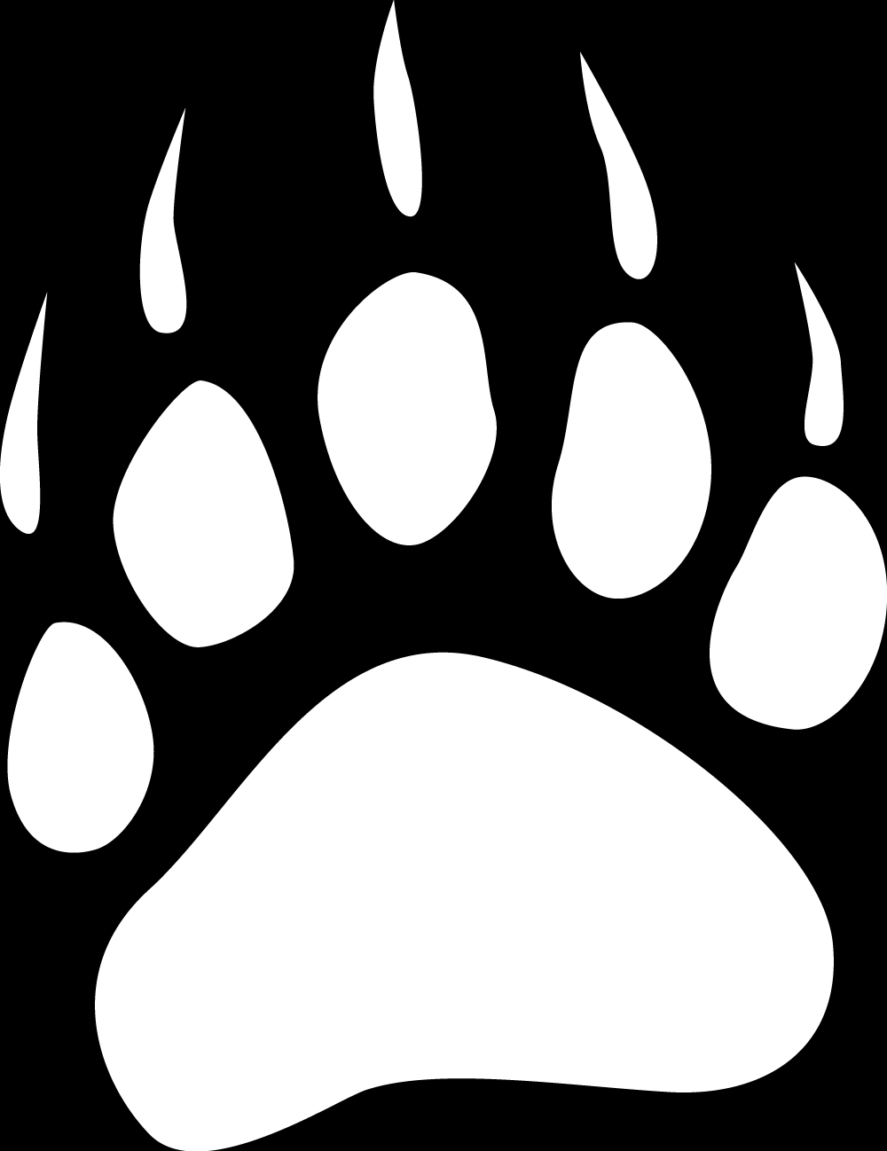 White Paw Prints