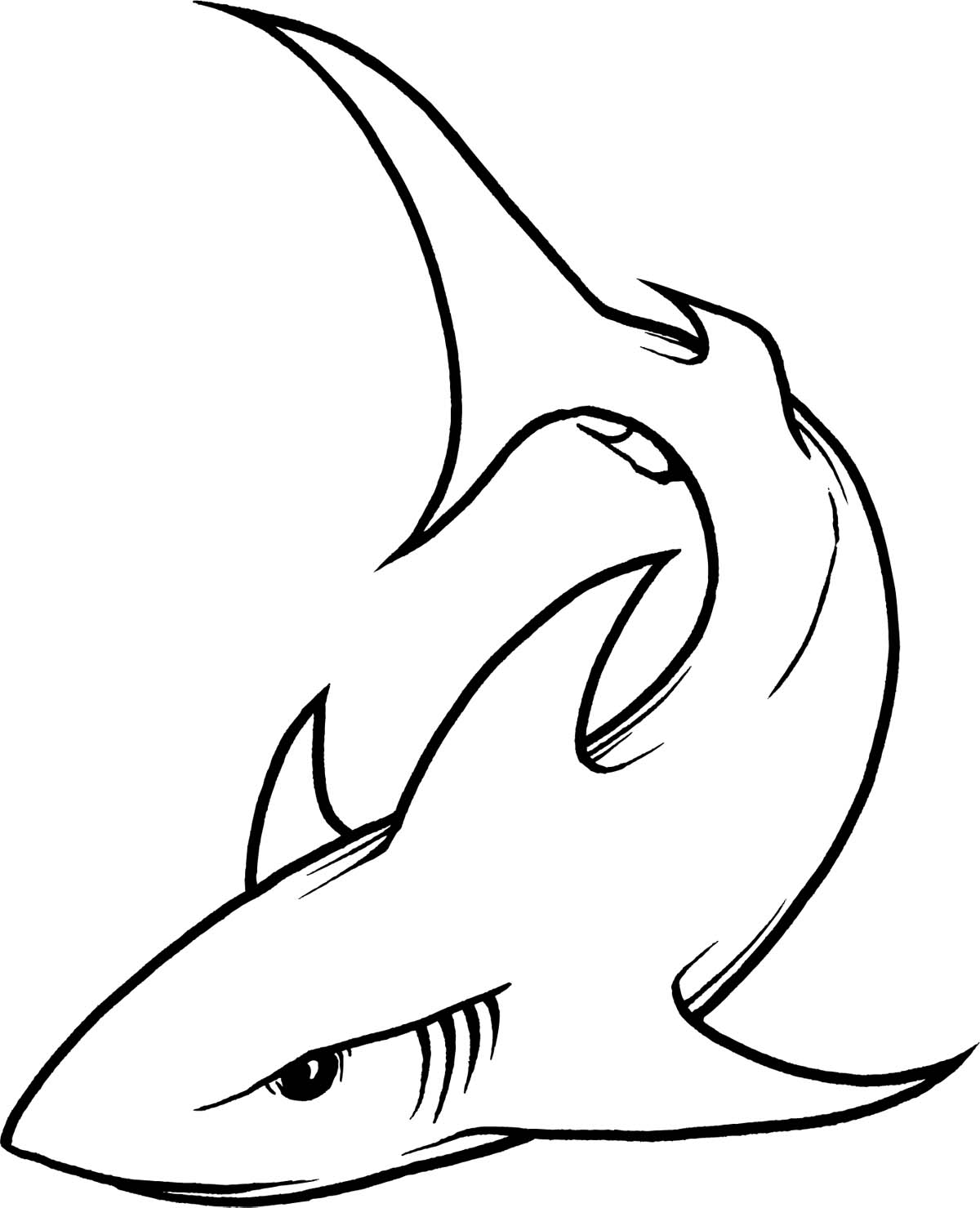Shark Line Art - ClipArt Best