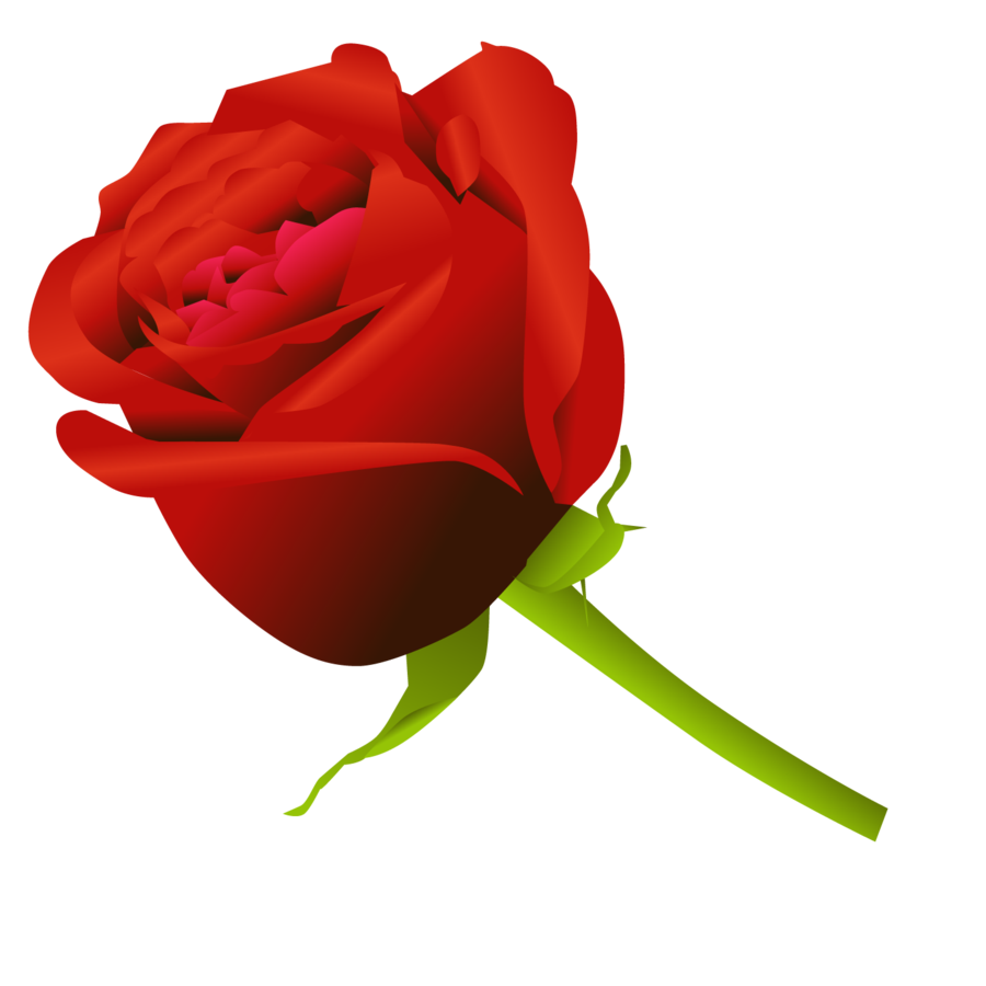 Simple Rose by Dekomaru