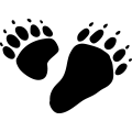 Panda paws vector