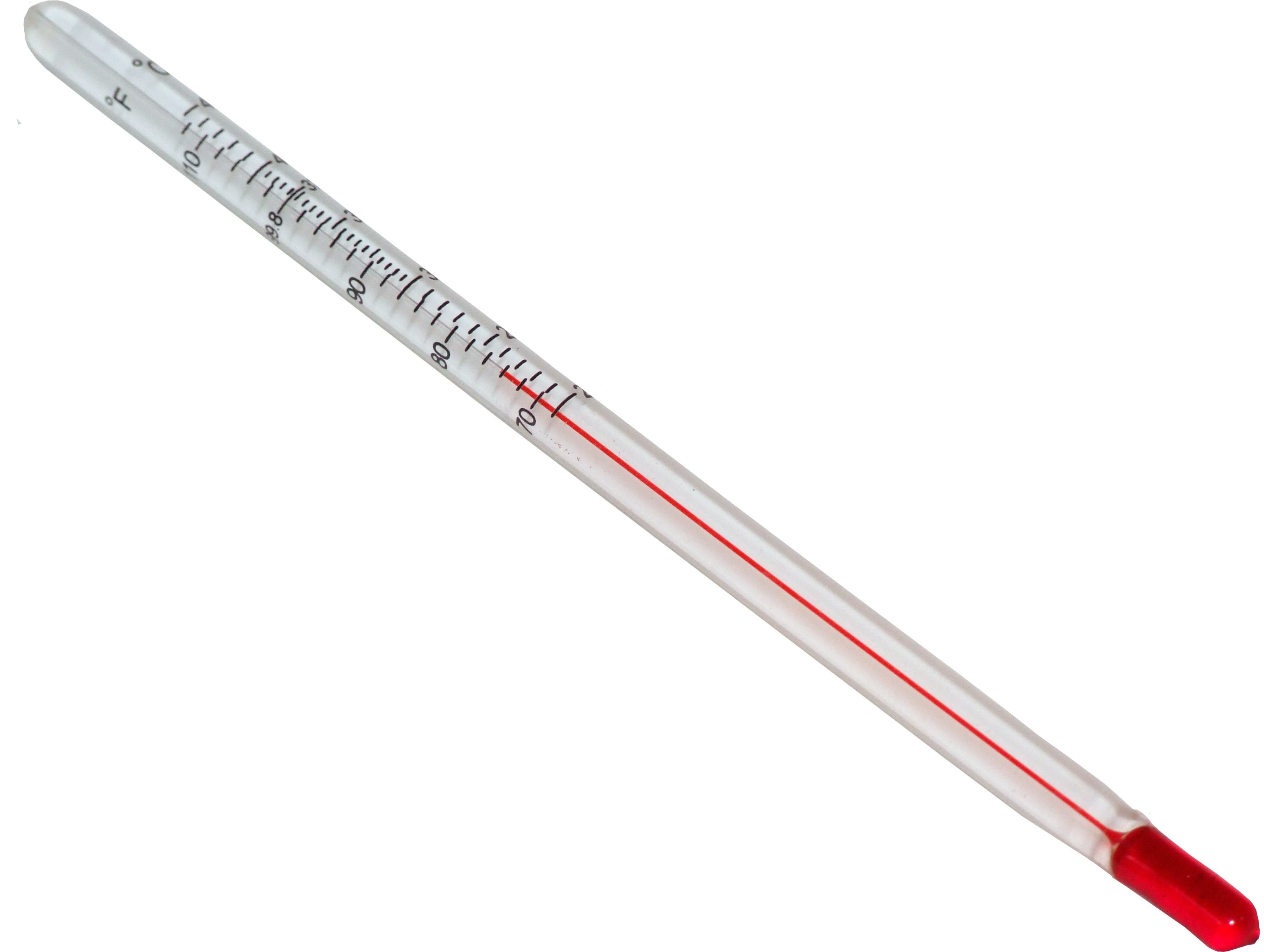 Chicktec 6 Thermometer