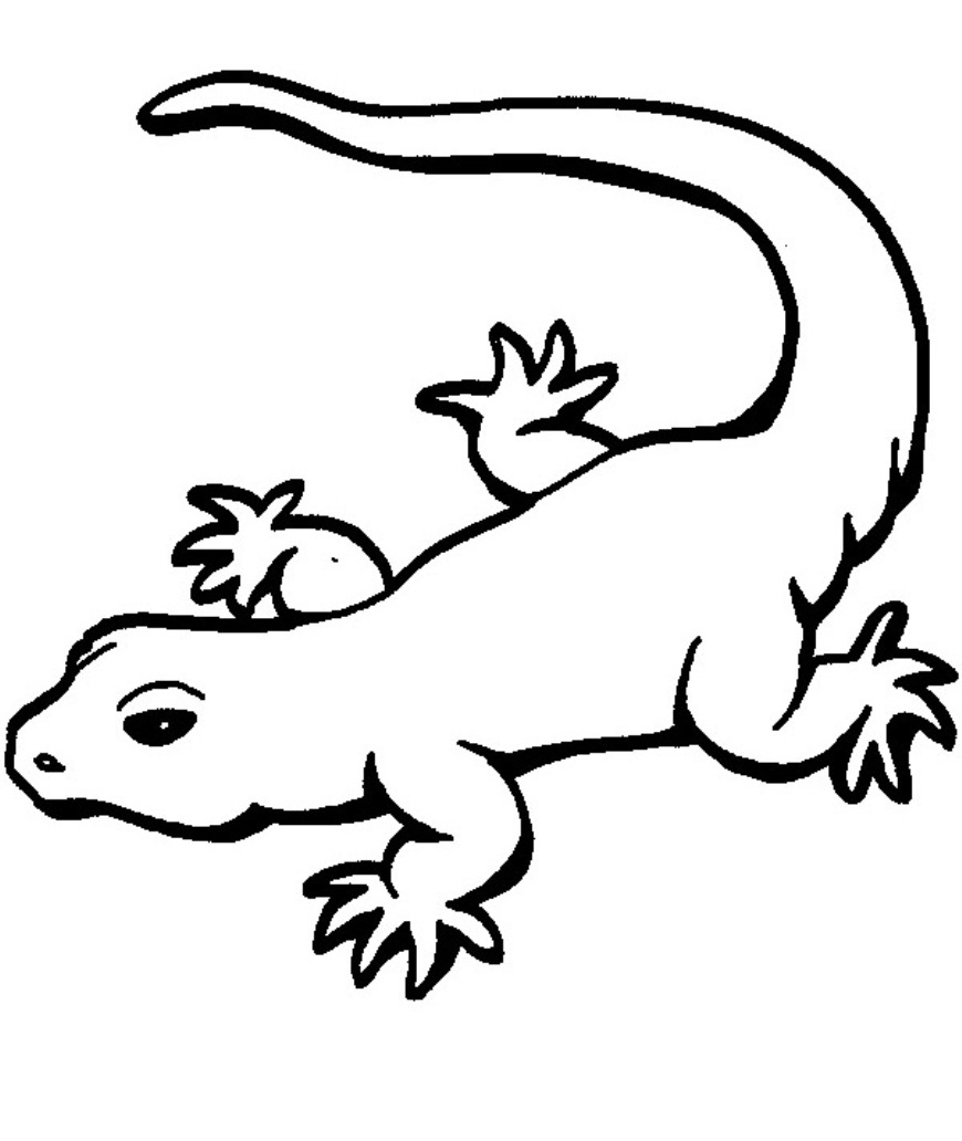 Gecko Coloring Pages Animal - Animal Coloring pages of ...
