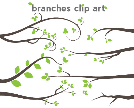 Picture Of A Tree Branch