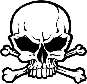 Skull and Crossbones Jolly...