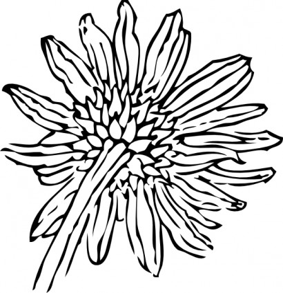 Back Of A Sunflower clip art Vector clip art - Free vector for ...