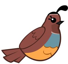 10+ Animated Quail Clipart