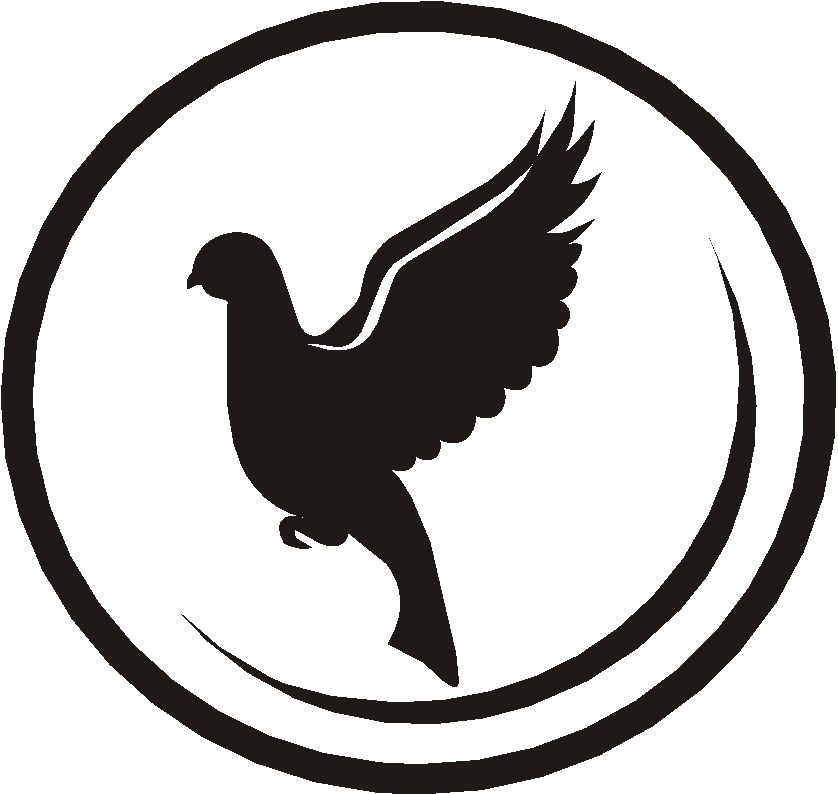 Pigeons clipart - ClipartFox