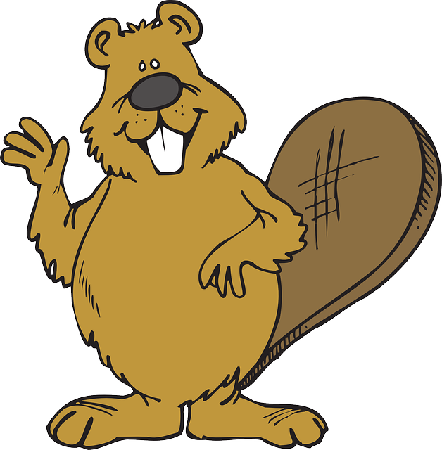 Full Beaver Moon 5K Course Video is up! | Heartland Endurance Sports