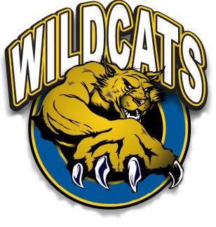 Images Of Wildcats Cheer Athletics Worlds 2012 Wallpaper on ...