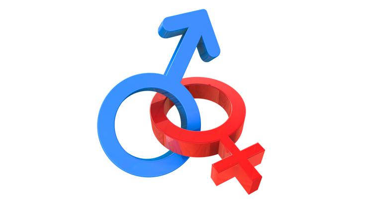 Train college staff to tackle 'unacceptable' transgender bullying ...