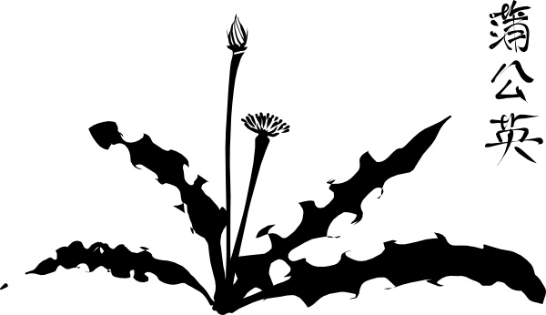 Calligraphic Dandelion clip art Free vector in Open office drawing ...
