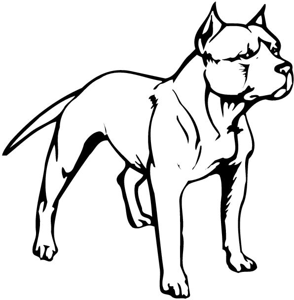Pit Bull Clip Art - Tumundografico