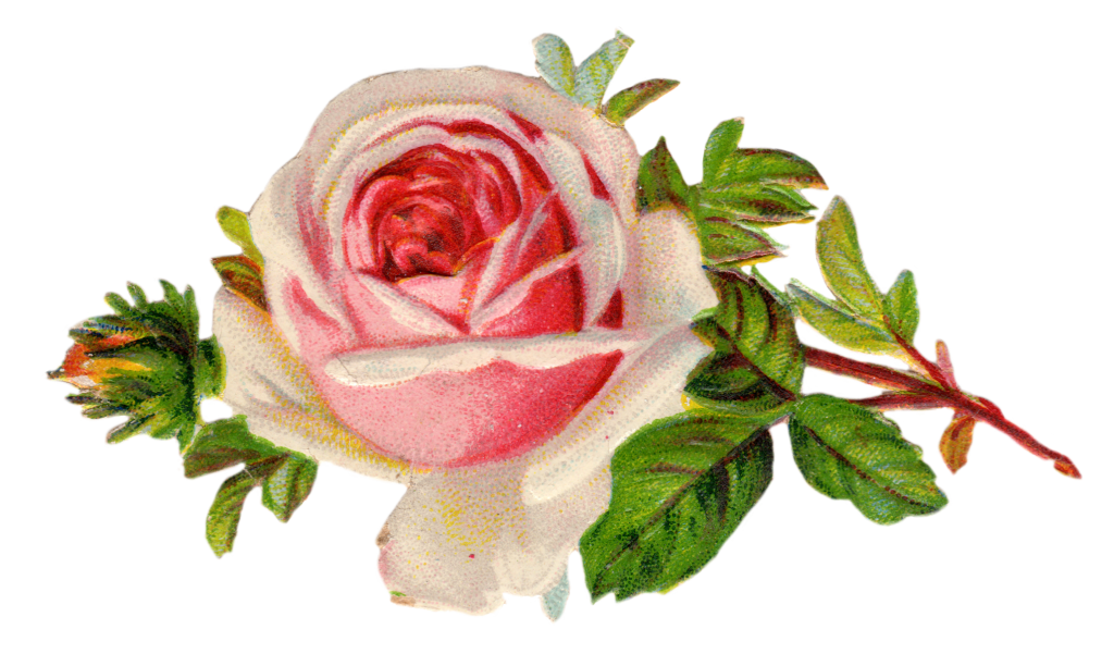 Victorian tea party clipart png