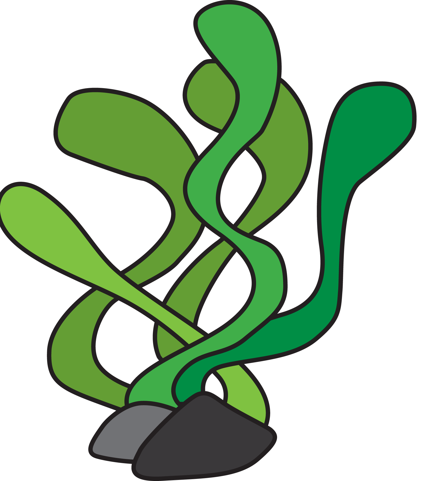 Clipart seaweed background