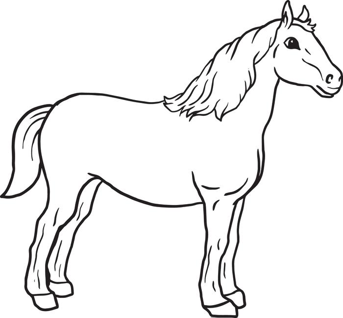 Coloring Book Horse : Coloring - Kids Coloring Pages